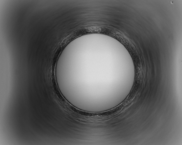 X0000098000600200803241043