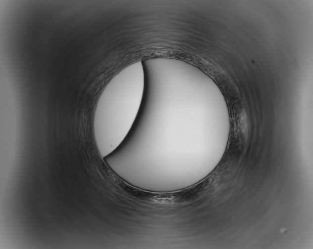 X0000098000606200803241043