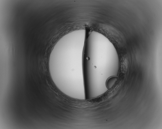 X0000098000608200803241043