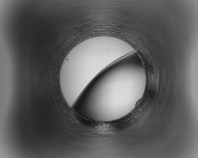 X0000098000609200803241043