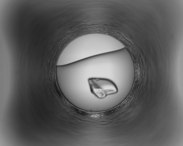 X0000098000611200803241043