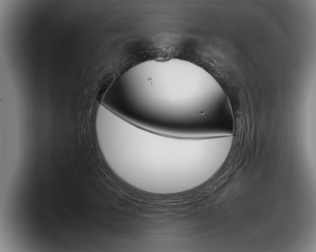 X0000098000613200803241043