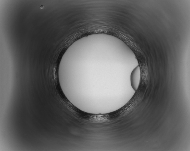 X0000098000622200803241043