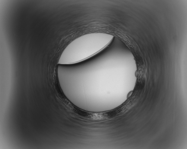 X0000098000623200803241043