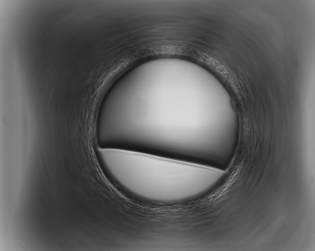 X0000098000625200803241042