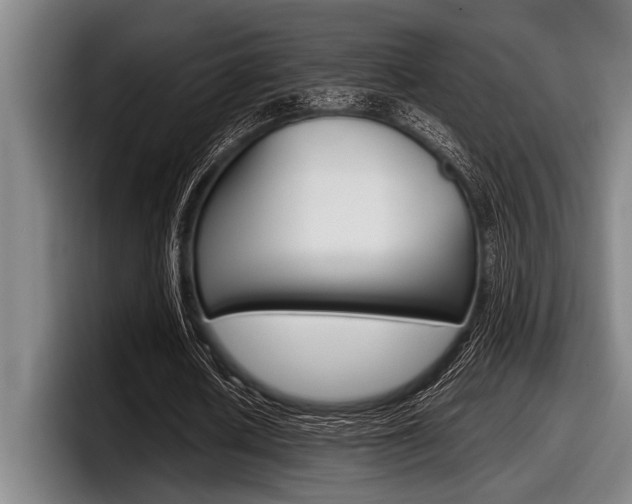 X0000098000626200803241042