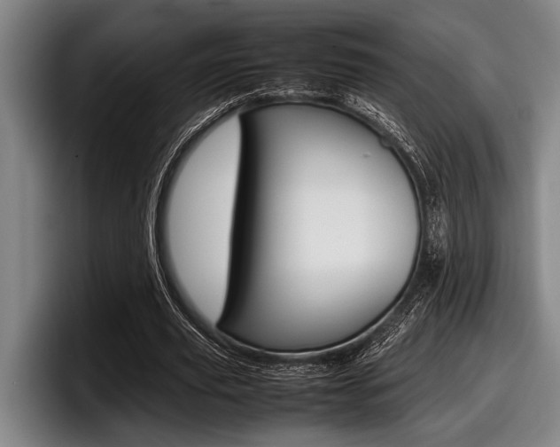 X0000098000629200803241042