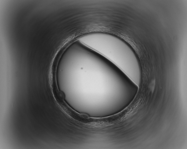 X0000098000630200803241042