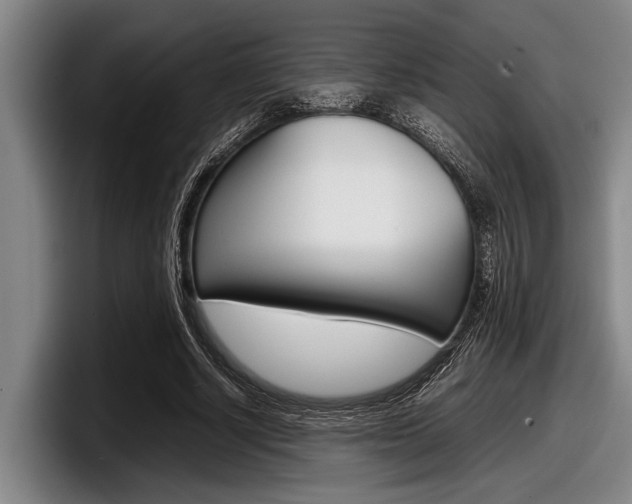 X0000098000634200803241042