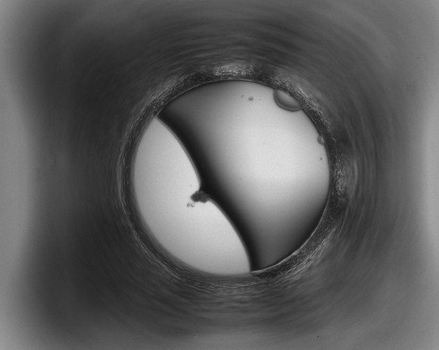 X0000098000637200803241042