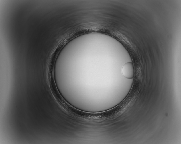 X0000098000638200803241042
