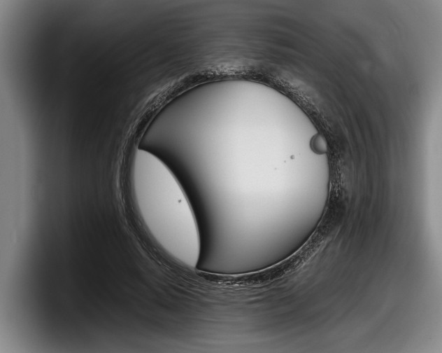 X0000098000640200803241042