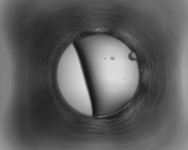 X0000098000643200803241042