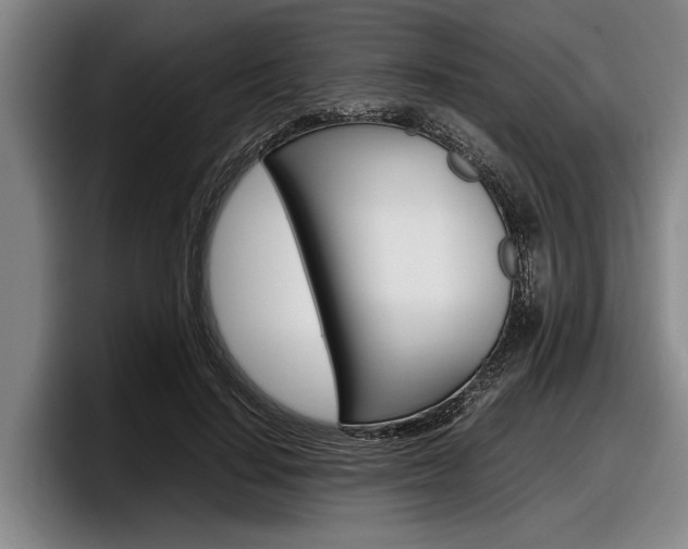 X0000098000644200803241042