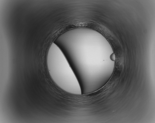 X0000098000652200803241042