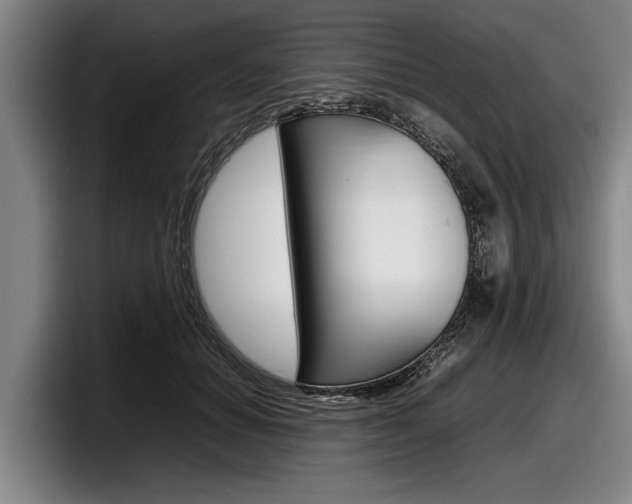 X0000098000654200803241042