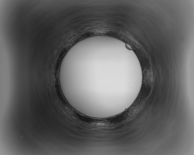 X0000098000655200803241042
