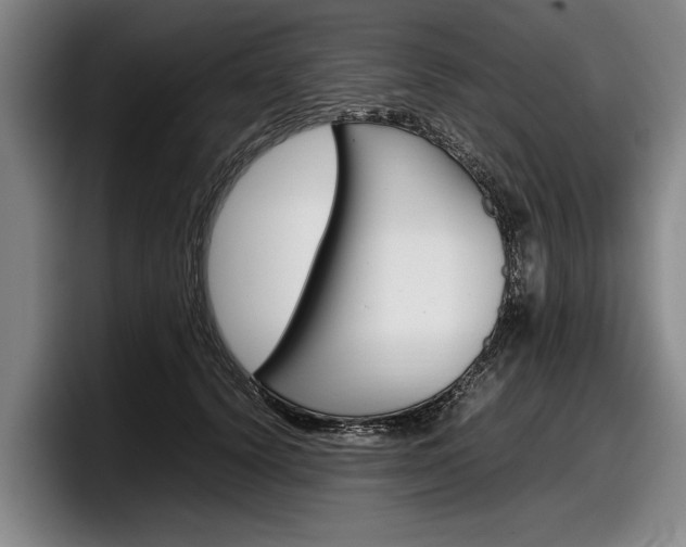 X0000098000656200803241042