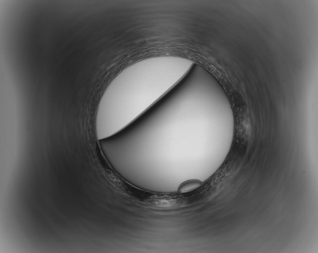X0000098000658200803241042