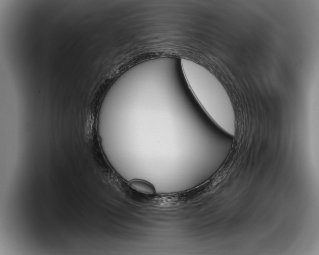 X0000098000660200803241042