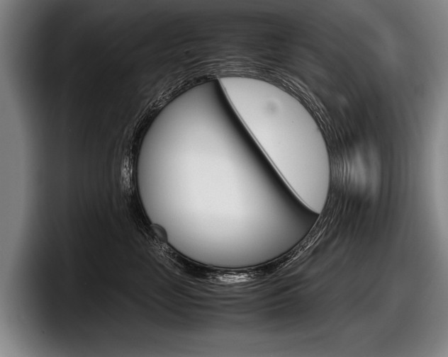 X0000098000669200803241043