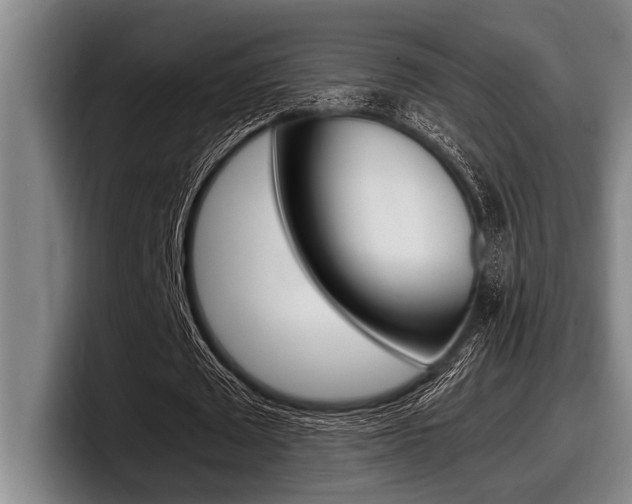 X0000098000673200803241042