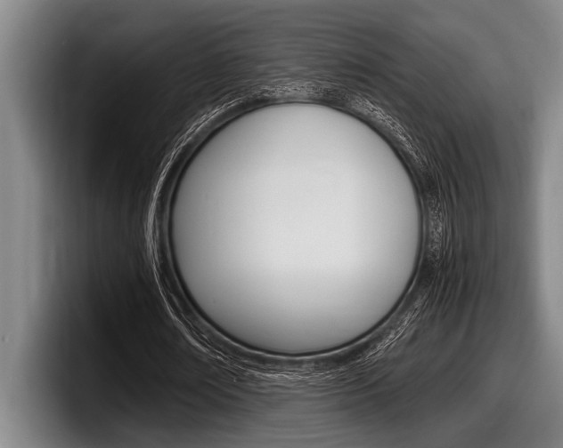 X0000098000674200803241042