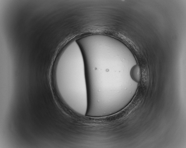 X0000098000682200803241042