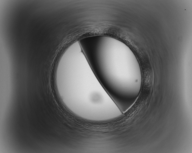 X0000098000685200803241042