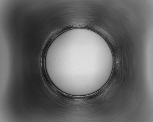 X0000098000686200803241042