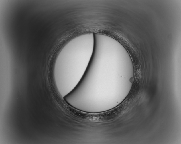 X0000098000687200803241042