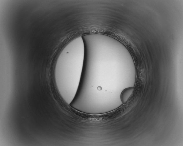 X0000098000690200803241042