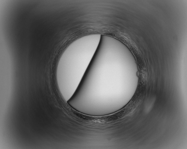 X0000098000691200803241042