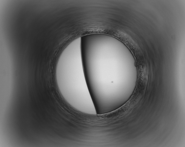 X0000098000692200803241042