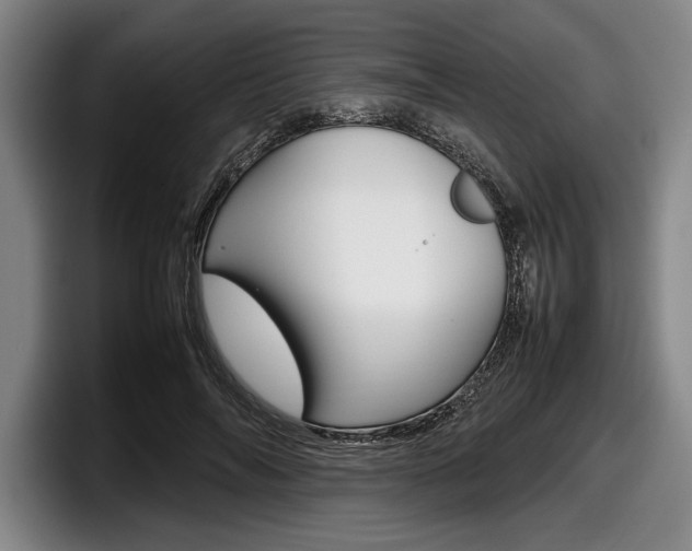 X0000098000694200803241042