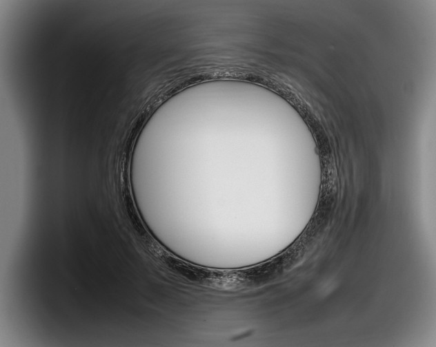 X0000098000695200803241042