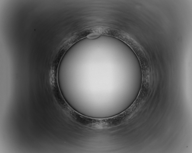 X0000098000696200803241042