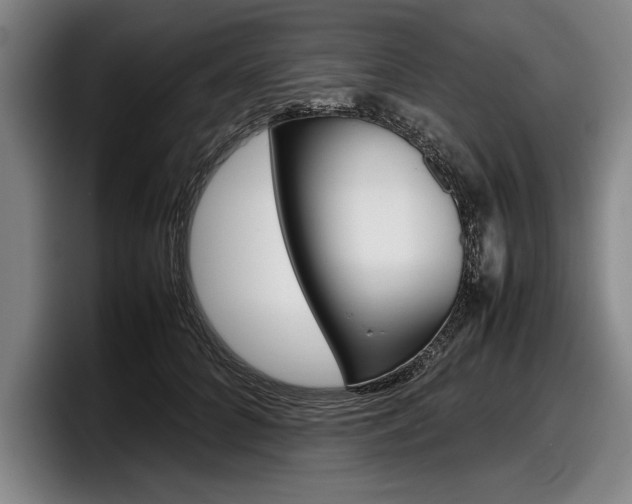 X0000098000704200803241042