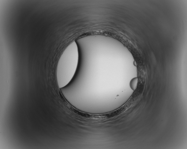 X0000098000707200803241042