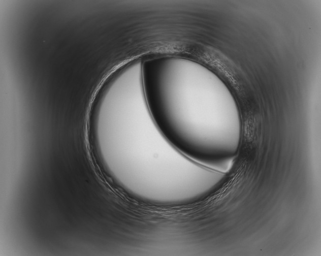 X0000098000724200803241041