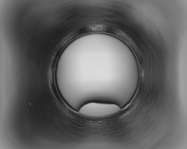 X0000098000725200803241041
