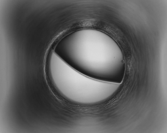 X0000098000728200803241041