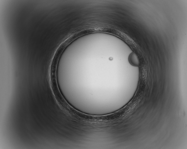 X0000098000730200803241041