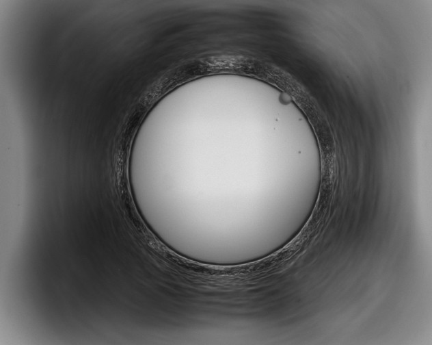 X0000098000737200803241041