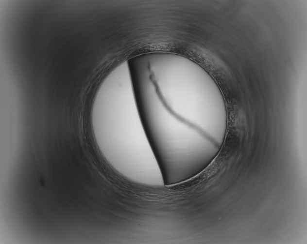 X0000098000744200803241041