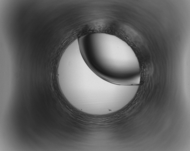 X0000098000750200803241041