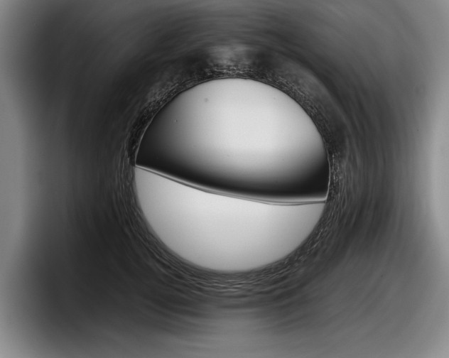 X0000098000752200803241041