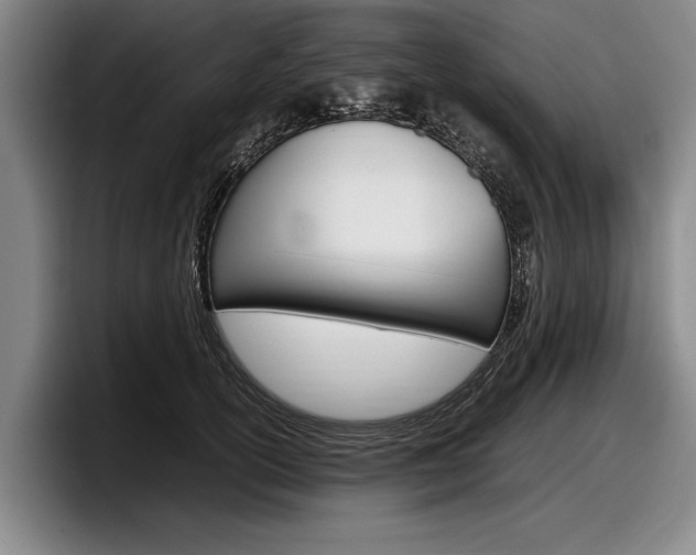 X0000098000754200803241041