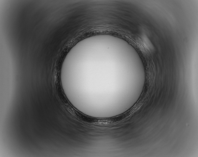X0000098000758200803241041