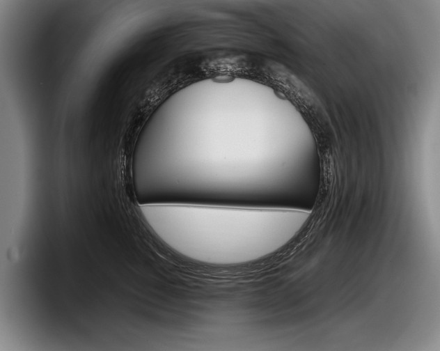 X0000098000760200803241041